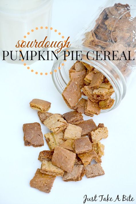 Sourdough Pumpkin Pie Cereal Sourdough Cereal, Sourdough Granola, The Best Pumpkin Pie Recipe, Apple Butter Recipes, Pumpkin Sourdough, The Best Pumpkin Pie, Sourdough Pumpkin, Best Pumpkin Pie Recipe, Everything Sourdough