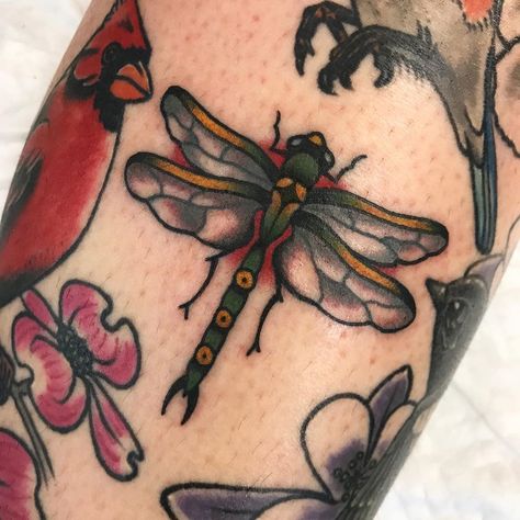 Dragonfly Tattoo Trad, Dragonfly Tattoo Neo Traditional, Traditional Tattoo Dragonfly, Traditional Style Dragonfly Tattoo, Elbow Tattoos Ideas, Dragon Fly Traditional Tattoo, Neotraditional Dragonfly Tattoo, Old School Dragonfly Tattoo, Trad Bug Tattoo