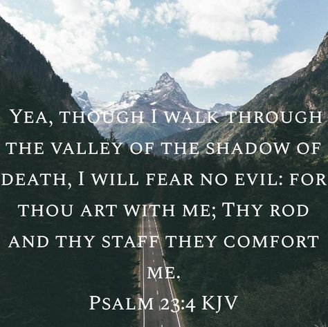 Psalm 23:4 KJV Fear No Evil: Find Peace in the Valley.   Even in the darkest moments, we are never alone. God is always with us! ✨ Psalm 23 Kjv, Peace In The Valley, Fear No Evil, Seek Peace, Kjv Bible, Facing Challenges, No Evil, Never Alone, Psalm 23