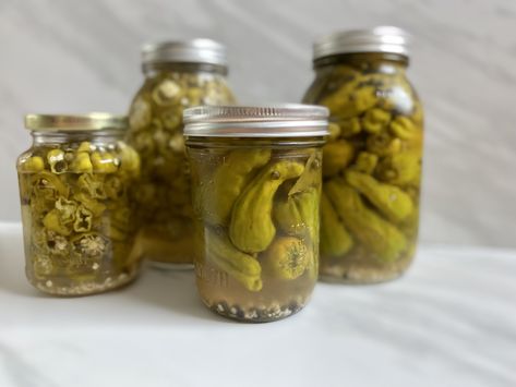 How To Pickle Pepperoncini, Pickled Pepperocini Recipes, Canning Pepperoncini Peppers, Pepperoncini Recipes, Picked Peppers, Pickled Pepperoncini, Pickled Pepper Recipe, Pickled Things, Preserving Foods