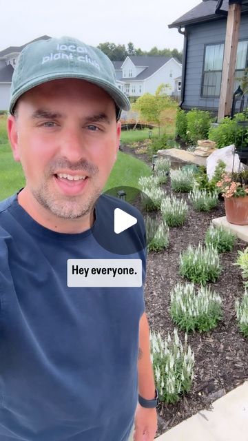 The Residential Garden on Instagram: "These Perennials stopped me in my tracks on my way out to dinner. These are White Wands Veronica by Proven Winners. Their bloom stocks stay all season long with no need to trim them throughout the season. My fav. ❤️🌱⁣ .⁣ .⁣ .⁣ .⁣ .⁣ #cottagegarden #garden #gardendesign #gardeninspiration #perennials #plantdesign #planting #plantphotography #plants #plantsmakepeoplehappy #plantsofinstagram #plantsplantsplants #pollinatorgarden #pollinators #purpleflowers #roses #shadegarden #shoplocal #shrubs #smallgarden #smallgardenideas #smallgardens #springflowers #springgarden #summergarden #trädgårdsinspiration #tuin #tuininspiratie #urbangarden #wildflowers" Veronica Plant, Black Eyed Susan Vine, Residential Garden, Proven Winners Plants, Landscape Plants, Proven Winners, Plant Photography, Pollinator Garden, White Gardens