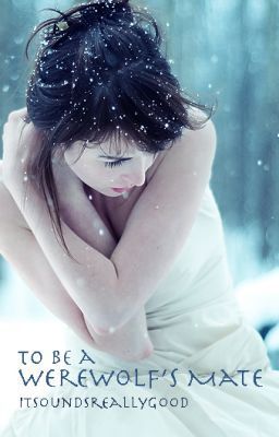 To be a Werewolf's Mate... Werewolves Mates, Werewolf Books, Dean Thomas, First Meet, Read Story, Snow Princess, Billionaire Romance, Potter Facts, Snow Girl