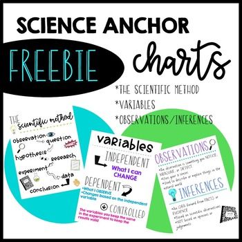 Scientific Method Anchor Chart, Science Anchor Charts, The Scientific Method, School Printables, Biology Notes, Science Themes, Scientific Method, Anchor Chart, Anchor Charts