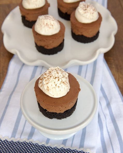 Mini No-Bake Chocolate Cheesecakes No Bake Chocolate Cheesecake, Dessert Simple, Cheesecake Bites, Mini Cheesecakes, Chocolate Cheesecake, Yummy Sweets, Mini Foods, Mini Desserts, Holiday Desserts