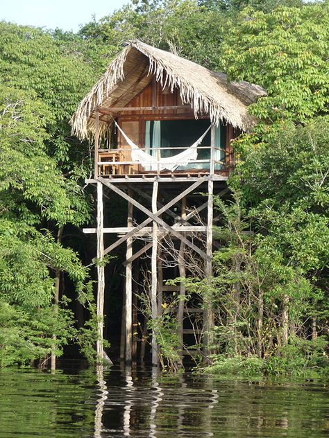 Top 10 Amazon Jungle Lodges Around Manaus, Brazil Brazil Amazon, Jungle Life, Jungle House, Cool Tree Houses, Eco Lodge, Bamboo House, Amazon River, Brazil Travel, Amazon Rainforest