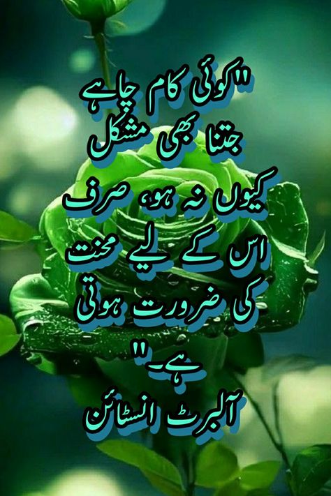 Quotes about success in Urdu | Top success quotes Quotes About Success, Quotes Urdu, Achievement Quotes, Quotes In Urdu, About Success, Top Quotes, Successful Women, Motivational Quotes For Success, Success Quotes