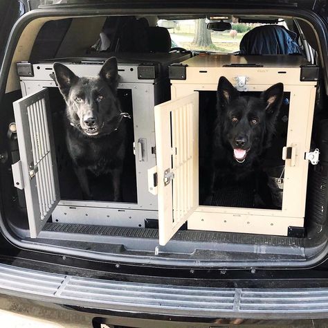 Impact Dog Crates on Instagram: “good friends, car rides, and training 🙌 ———————————————————— happy #friyay!! Where are you off to this weekend? ⠀⠀ Like and Comment below…” Car Dog Crate, Dog Car Setup, Car Dog Bed, Dog Van, Dog Bed Frame, Double Dog Crate, Dog Transport, Puppy Checklist, Kennel Ideas