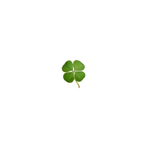 Clover Sticker, Clover Tattoos, Iphone Stickers, Journal Stuff, Minimalist Icons, Screen Icon, Green Sticker, Ios App Icon Design, Instagram Layout