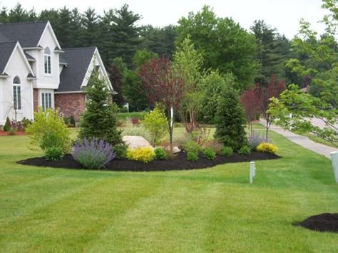 Found on Bing from www.pinterest.com Privacy Landscaping, Driveway Landscaping, Landscaping Inspiration, Front Landscaping, Beautiful Yards, Large Yard, Country Landscaping, Landscape Plans, Home Landscaping