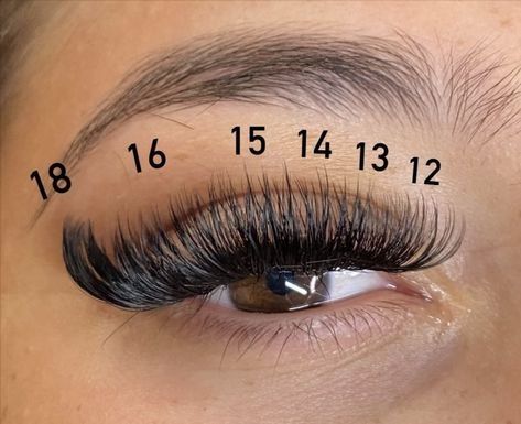 Mapping For Hybrid Lashes, Hybrid Set Eyelash Extensions Mapping, 17 Mm Eyelash Extensions, Cluster Individual Lashes, Volume Cat Eye Mapping, Cat Eye Volume Lash Extensions Mapping, Cat Eye Lash Extensions Mapping, Cat Eye Hybrid Lash Extensions Map, Cat Eye Mapping Eyelash Extensions