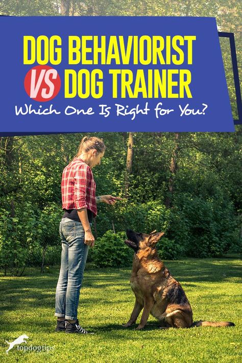 Dog Training At Home, Dog Behaviorist, Training At Home, Animal Behaviorist, House Training Dogs, Dog Training Techniques, Best Dog Training, Animal Behavior, Dog Obedience