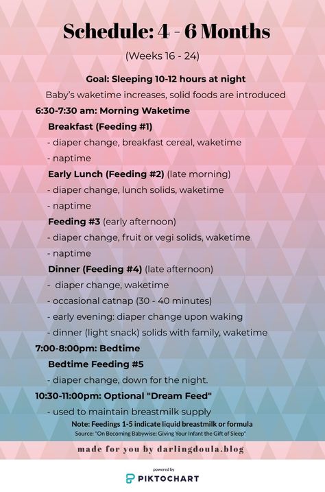 5 Month Old Daily Schedule, 6 Month Old Nap Schedule, Sleep Schedule For 4 Month Old, 4month Old Schedule, Schedule For 4 Month Old Baby, 4 Month Old Schedule With Solids, Four Month Old Schedule, 4 Month Old Feeding Schedule With Solids, 3-4 Month Old Schedule