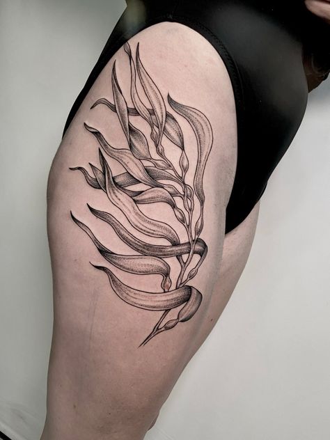 Marine Plants Tattoo, Shark Shin Tattoo, Austrian Tattoo Ideas, Sealife Tattoo Sleeve, Giant Kelp Tattoo, Ocean Filler Tattoo Ideas, Seagrass Tattoo, Kelp Forest Tattoo, Kelp Tattoo Seaweed