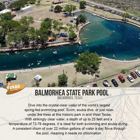 balmorhea • Instagram Balmorhea State Park, Texas Roadtrip, Scuba Dive, Crystal Clear Water, Just Relax, Scuba Diving, Worlds Largest, Clear Water, State Park