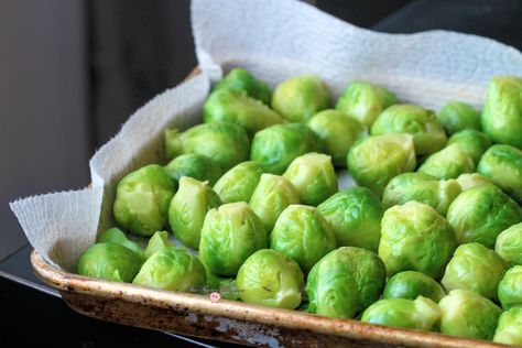 How to properly freeze Brussels Sprouts | Blanching Brussel Sprouts, Freezing Brussel Sprouts, Freezing Vegetables, Sprouts Recipe, Clam Recipes, Sprout Recipes, Brussels Sprouts Recipe, People Food, Frozen Veggies