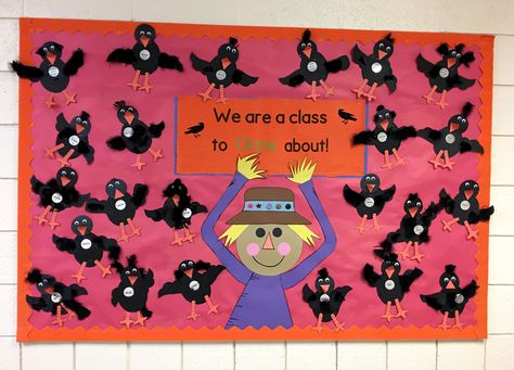 Scarecrow Bulletin Board Ideas, Crow Art Preschool, Scarecrow Bulletin Board, Fall Scarecrow Bulletin Board Ideas, Scare Crow Bulletin Board, Crow Counting, Fall Owl Bulletin Board Ideas, Kindergarten Anchor Charts, Teacher Bulletin Boards