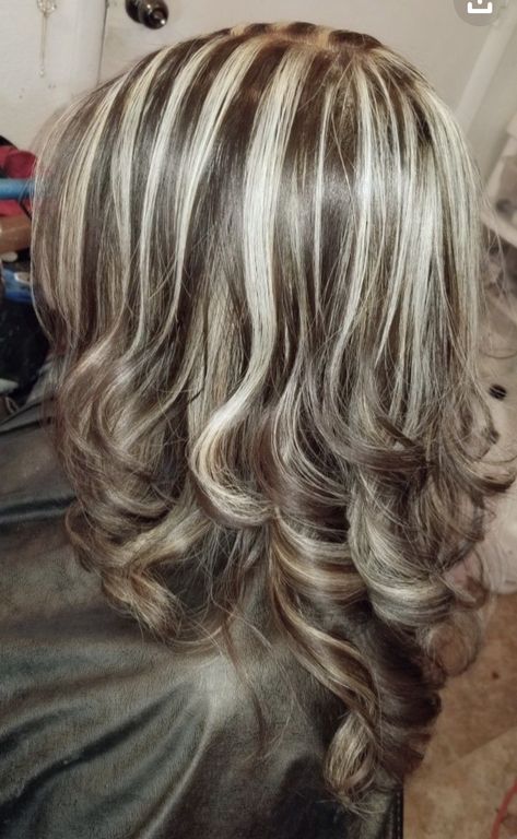 White Hair With Lowlights, Chunky Highlight, 2023 Hairstyles, Skunk Hair, Blonde Curly Hair, Honey Blonde Hair, Hair Creations, Low Lights Hair, Hair Color Highlights