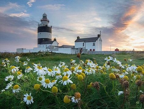 Hook Lighthouse Ireland, Irish Photography, Summer In Ireland, Irish Landscapes, Lighthouse Inspiration, Wexford Ireland, Collage Pictures, Popular Paintings, Irish Landscape