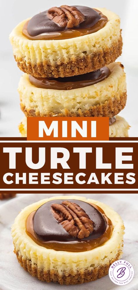 Mini Turtle Cheesecake Bites, Turtle Cheesecake Bites, Mini Holiday Cheesecakes, Mini Turtle Cheesecake Recipe, Mini Turtle Cheesecakes, Mini Turtle Cheesecake, No Bake Turtle Cheesecake, Mini Muffin Tin Recipes, Easy Desert