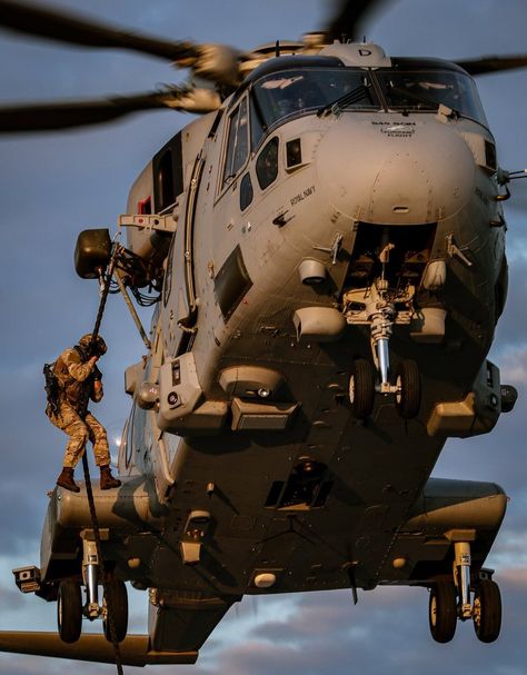 Marine Engineer, Hms Queen Elizabeth, Carrier Strike Group, Fly Navy, Passenger Aircraft, Military Hardware, Navy Sailor, Navy Aircraft, Royal Marines