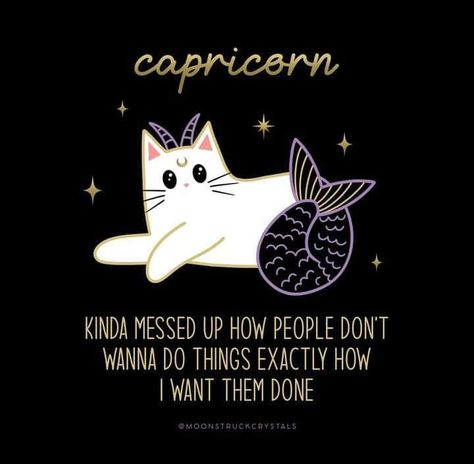 Capricorn Aesthetic Art, Capricorn Facts Women, Zodiac Cats, Capricorn Sun, Capricorn Aesthetic, Capricorn Art, Astrology Capricorn, Zodiac Personality Traits, Capricorn Girl