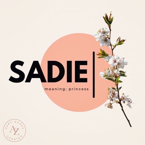 Baby name Sadie is both on-trend and an evergreen. Click through to find out more about this name! #sadie Sadie Name, May Name, Girl Name, Writing Characters, Future Family, Baby Princess, 2024 Vision, Character Names, Baby Name