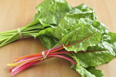 Fructose Free Vegetables Pasta With Leeks, Swiss Chard Pasta, Chard Pasta, Growing Swiss Chard, Fructose Free, Spring Crops, Creamed Leeks, French Lentils, Pasta Pot