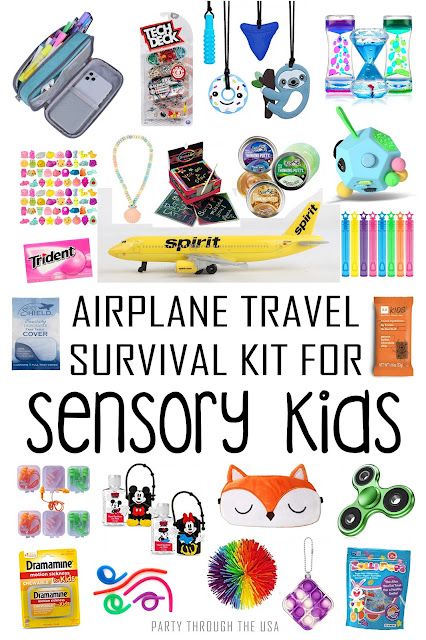 Travel Survival Kit, Road Trip Organization, Sensory Sensitive, Sensory Kids, Flying With A Toddler, Disney Trip Surprise, Kids Travel Activities, Sensory Kits, Airplane Activities