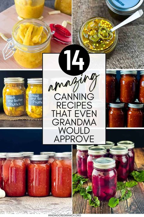 Discover 14 classic canning recipes that are tried and true! From homemade jams to savory pickles, these recipes are perfect for preserving fresh flavors. Packed with old-fashioned goodness, these canning ideas will have you stocking up your pantry with jars that taste just like Grandma’s. Delicious Canning Recipes, Oven Canning Recipes, Amish Canning Recipes, Homemade Canned Salsa, Amish Canning, Sweet Dill Pickles, Raspberry Rhubarb Jam, Homemade Canned Spaghetti Sauce, Canning Gifts