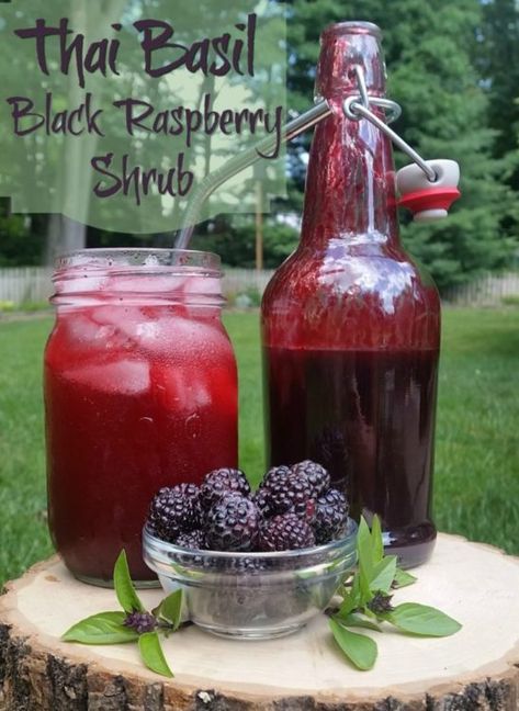 Raspberry Shrub Recipe, Shrub Cocktails, Shrub Drink, Fruit Shrub, Shrub Recipe, Fizzy Drinks, Drinking Vinegar, Fermentation Recipes, Healthy Drink