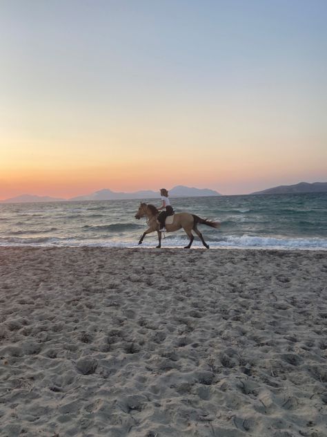 Horse Galloping On Beach, Horse Beach Aesthetic, Horse Riding On Beach, Horse Riding Beach, Horse Beach Riding, Horseback Riding Aesthetic, Horses Beach, Equestrian Summer, Aesthetics Pictures