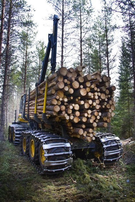 Arborist Gear, John Deere Tractors Farms, Logging Trucks, Logging Equipment, Heavy Construction Equipment, Forestry Equipment, Farm Machinery, Old Trees, New Photo Download