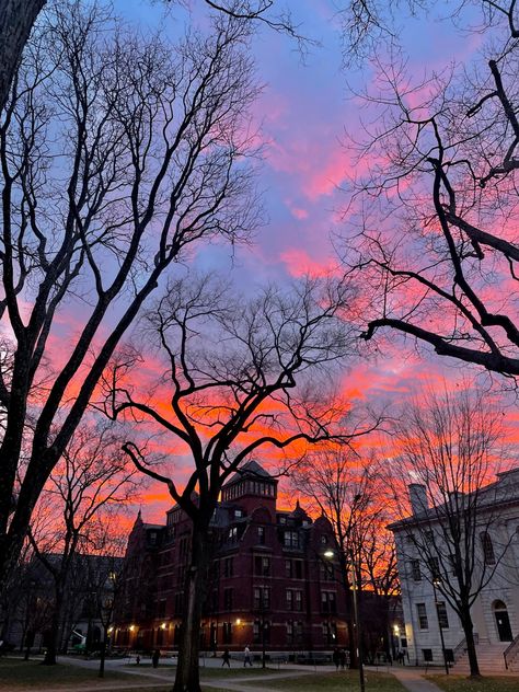 Harvard Dental School, Harvard University Aesthetic Wallpaper, Harvard Motivation, Harvard University Aesthetic, College Harvard, Harvard Aesthetic, Harvard University Campus, Harvard Campus, Harvard Yard