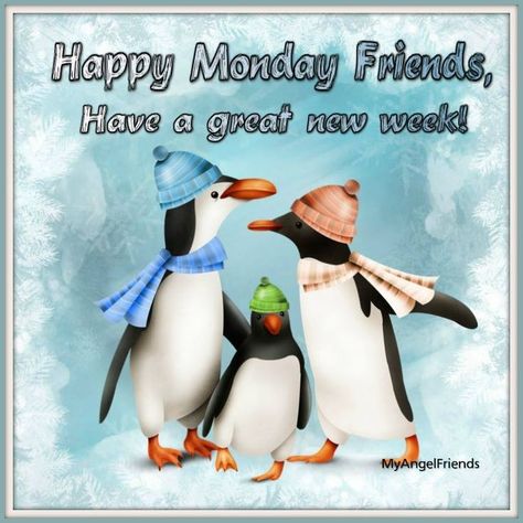 Happy Monday Images, Monday Morning Quotes, Good Morning Beautiful Quotes, Winter Animals, Morning Beautiful, Good Morning Beautiful, Monday Morning, New Week, Happy Monday