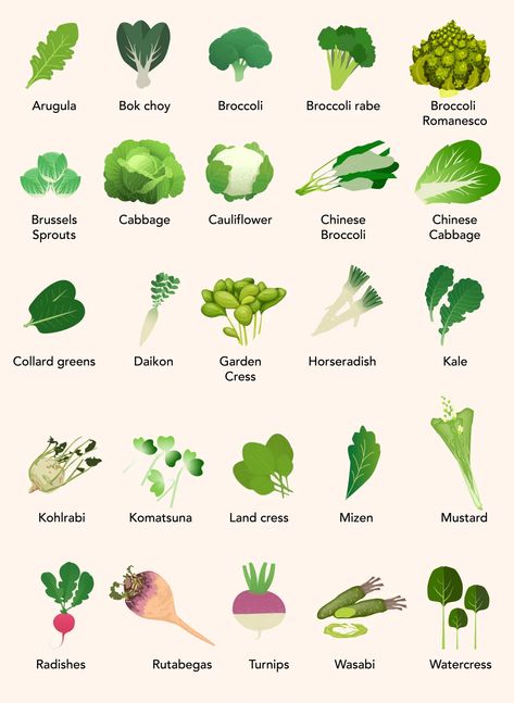 Cruciferous Vegetables List, Turnip Salad, Kohlrabi Slaw, Vegetables List, Massaged Kale Salad, Cruciferous Vegetables, How To Cook Broccoli, Massaged Kale, Raw Broccoli