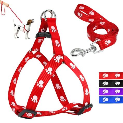 Chihuahua Harness, Diy Dog Harness, Puppy Must Haves, Service Dog Harness, Bubble Dog, Walking Gear, Harness And Leash Set, Walking Harness, Newborn Puppies