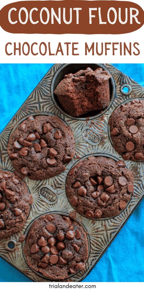 Double Chocolate Coconut Flour Muffins - naturally sweetened with no added refined sugar, gluten free, and a paleo friendly snack. Paleo Muffins Coconut Flour, Coconut Flour Desserts, Paleo Chocolate Muffins, Chocolate Muffins Recipe, Coconut Flour Muffins, Sugar Free Muffins, Chocolate Muffin Recipe, Coconut Flour Recipes, Paleo Baking