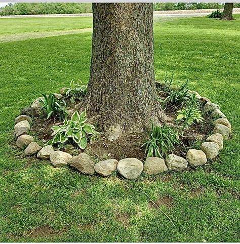 Rock Trim Landscape, Rock Border Around Tree, River Rock Garden Edging, Borders Around Trees Ideas, Around A Tree Landscaping, Landscaping Around Tree Roots, Around Tree Landscaping, Rocks Around Tree, Tree Edging