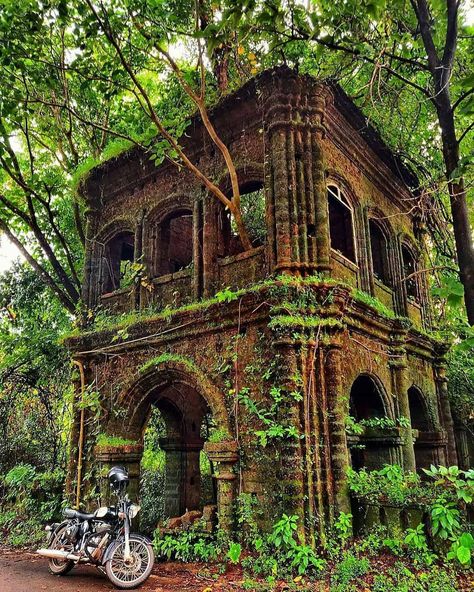 Indian Travellers Team 🇮🇳 on Instagram: “Old Monument taken over by nature. . Photo by @niksx36 . • • • • • • 📍 Goa, India . Don't forget to follow 👉 @indiangirlstravel . DM , TAG…” Old House India, Taken Over By Nature, Old India, Monument In India, Indian Things, Amazing India, Old Abandoned Houses, Building Illustration, India Photography