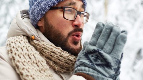 Photo: Pressmaster (Shutterstock)Cold weather is officially here (at least, it is in areas that typically get cold this time of year.) (I’m not talking about southern California.) (I am never talking about southern California.)If you live in an area where the temperatures have taken a major dip, it’s important to keep yourself warm. Maybe you’re coming in from the cold, or you’re dealing with a broken radiator, or you don’t want to have another fight about the thermostat temperature—sometimes al Pet Lion, I Am Cold, How To Fold Towels, Not Talking, Always Cold, Squat Rack, Betty White, Old Tv, Finding Joy