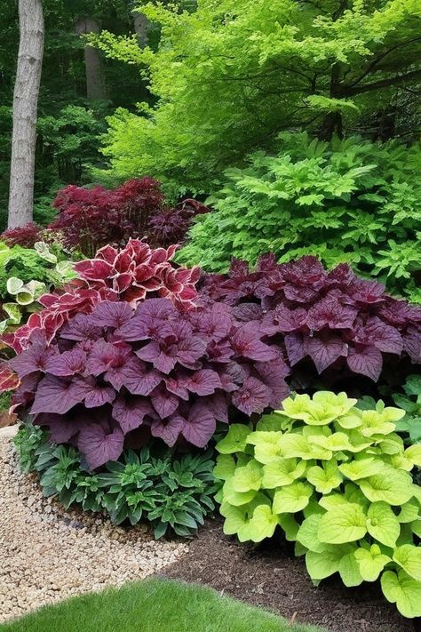 12 Best Perennial Plants For Shade Zone 3 Perennials, Shady Landscaping, Hostas Landscaping, Partial Shade Perennials, Perrenial Gardens, Plants For Shady Areas, Plants For Shade, Shade Landscaping, Shady Garden