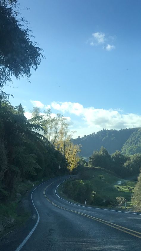 #iknowaspot #view #windyroad #road #farmland #fern #rollercoaster #aesthetic #nature #natural #nz #newzealand #aoetearoa Rollercoaster Aesthetic, Aesthetic Nature, Driving Pictures, Travel Board, Queenstown, Car Travel, Home Wallpaper, Roller Coaster, Travel Aesthetic