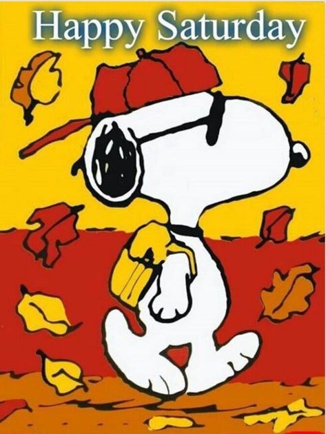 Happy Saturday days fall snoopy days of the week saturday weekdays graphic saturday greeting beautiful saturday Happy Saturday Pictures, Snoopy School, Saturday Pictures, Saturday Greetings, Sunday Pictures, Snoopy Dog, Saturday Quotes, Snoopy Cartoon, Good Morning Saturday