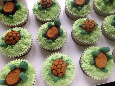 Tortoise cupcakes Tortoise Cupcakes, Tortoise Diet, Russian Tortoise Diet, Red Footed Tortoise, Russian Tortoise, Tortoise Care, Desert Tortoise, Perfect Diet, Turnip Greens