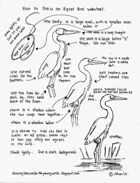 Crain Birds Drawing, Drawing Worksheet, Egret Bird, Pelican Art, Drawing Birds, Heron Art, Free Drawing, Bird Free, Bird Graphic