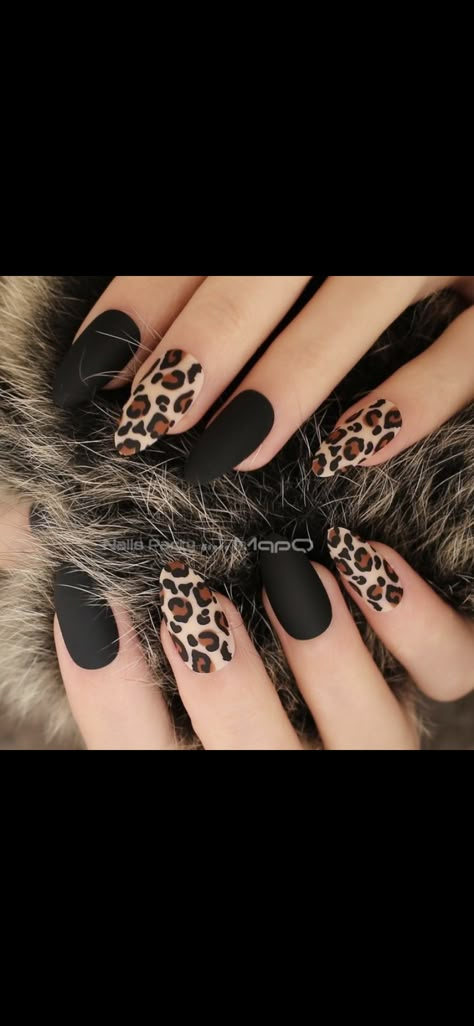 Black Leopard Nails, Leopard Nail Art Designs, Giraffe Nails, Nail Designs Pink, Nails Cheetah, Nails Coquette, Cheetah Nail Designs, Coquette Nails, Cheetah Print Nails