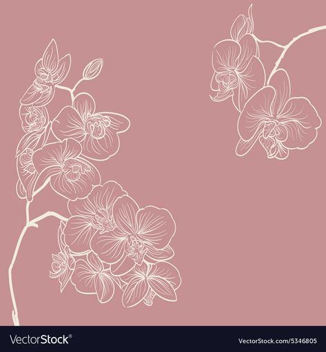 Orchid Flower Illustration, Orchid Aesthetic Wallpaper, Orchid Doodle, Orchid Outline, Orchids Illustration, Orchid Vector, Orchid Background, Orchid Illustration, Orchid Wallpaper