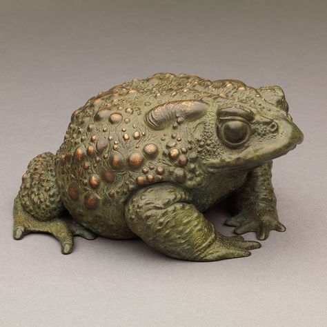 Toad II - Ltd Edition Bronze Wildlife Sculpture by Nick Bibby Toad Sculpture, Kodiak Brown Bear, Indoor Sculpture, Coil Pottery, Animal Wildlife, Funny Frogs, Frog Art, Ceramics Pottery Art, Ceramic Animals