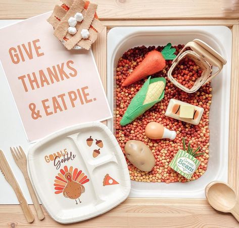 Thanksgiving Dramatic Play, Thanksgiving Sensory Bin, Thanksgiving Sensory, Sensory Play Activities, Earth Science Lessons, Thanksgiving Inspiration, Busy Boxes, Fall Theme, Sensory Bin