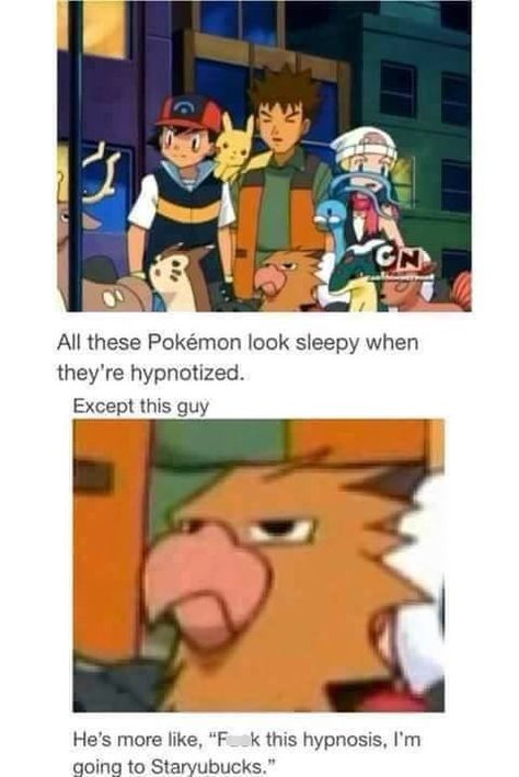 Funny Pokemon Pictures, Funny Pokemon, Pokemon Mew, Pokemon Game, Oc Pokemon, Ash Ketchum, Pokemon Comics, Pokemon Memes, Pokemon Funny